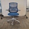 Regeneration Chair